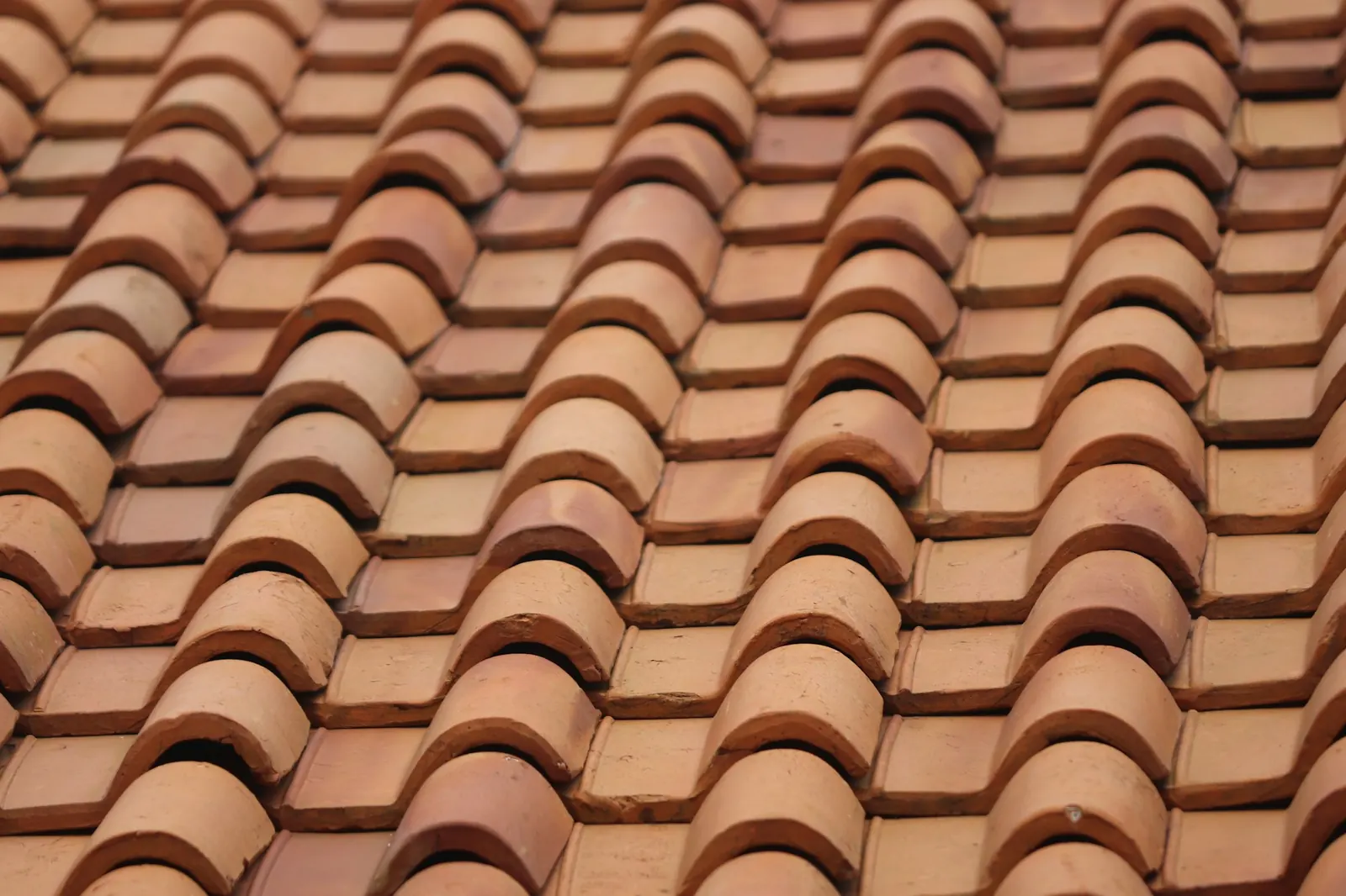 Tuiles de toiture brunes et claires