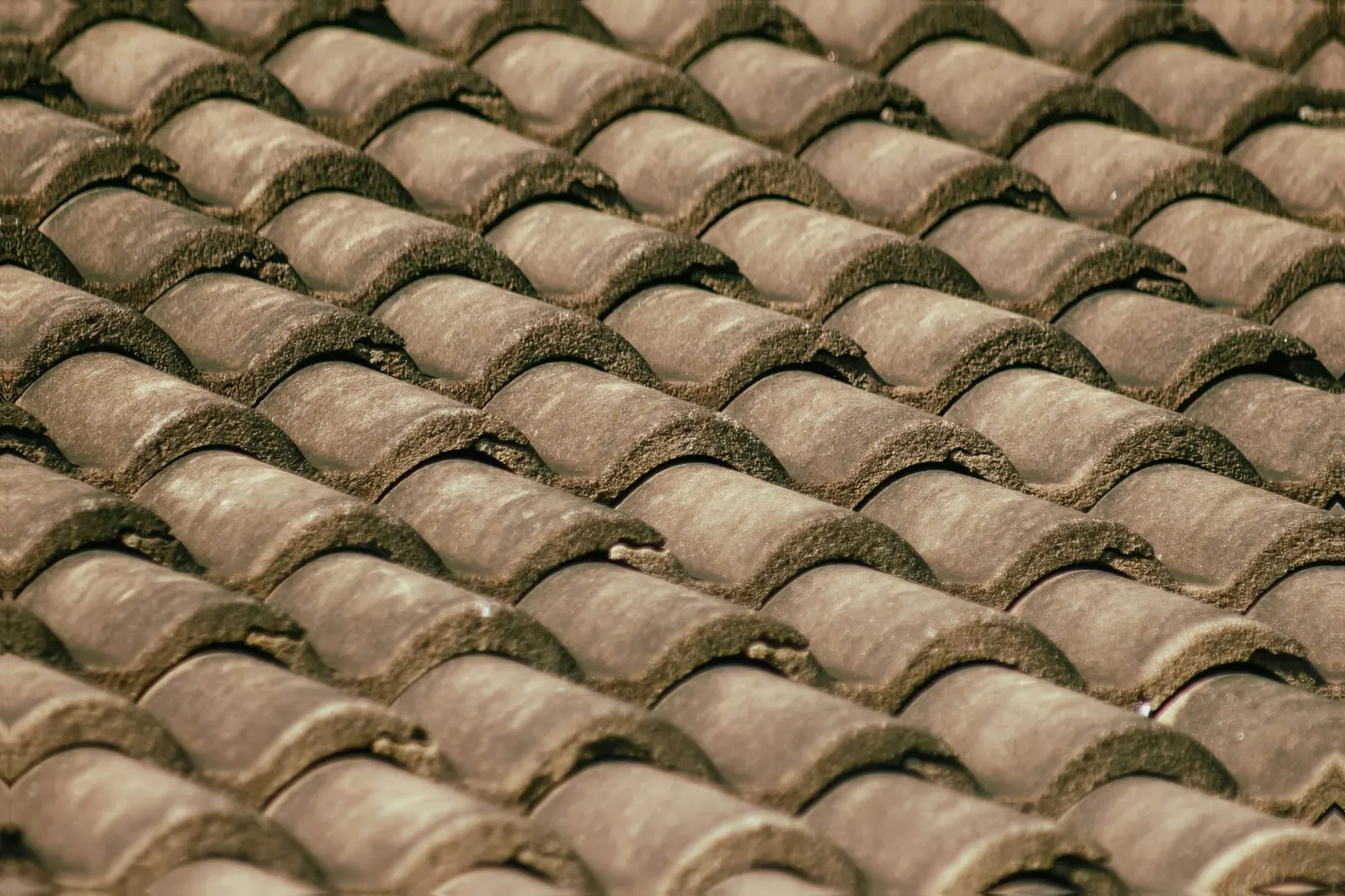 Rangs de tuiles en terre cuite patinées, photo d'illustration