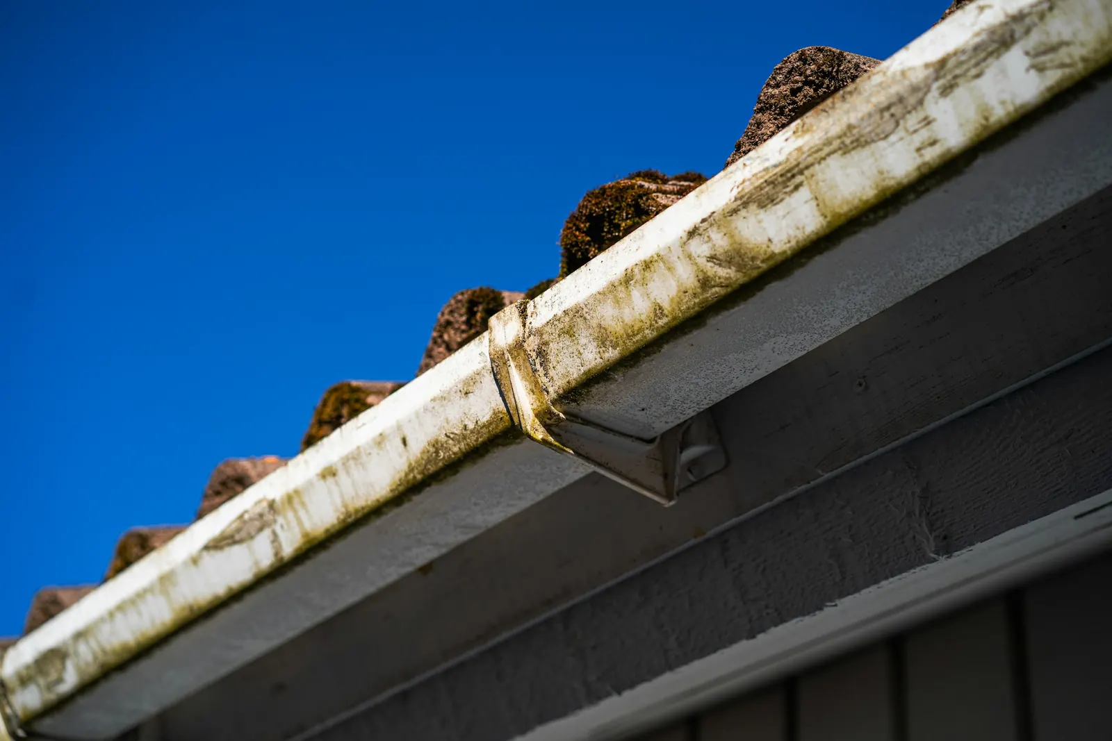 Gouttières encrassées au bord du toit